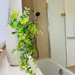 Luxury Mountain Apartament *
